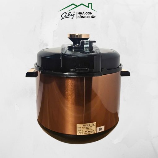 Nồi áp suất điện tử cảm ứng Jinhui 6L bảng điều khiển hiện đại
